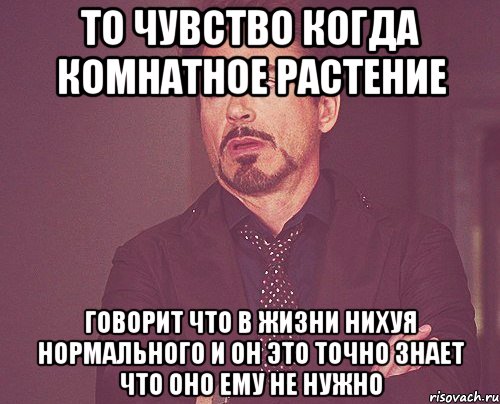 то чувство когда комнатное растение говорит что в жизни нихуя нормального и он это точно знает что оно ему не нужно, Мем твое выражение лица