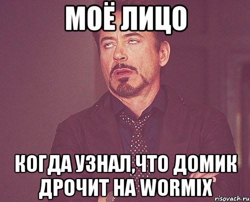 моё лицо когда узнал,что домик дрочит на wormix, Мем твое выражение лица