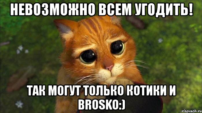 невозможно всем угодить! так могут только котики и brosko:), Мем кот из шрека