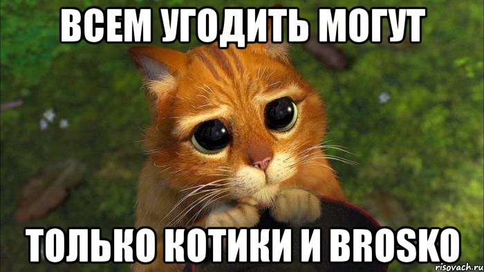 всем угодить могут только котики и brosko, Мем кот из шрека