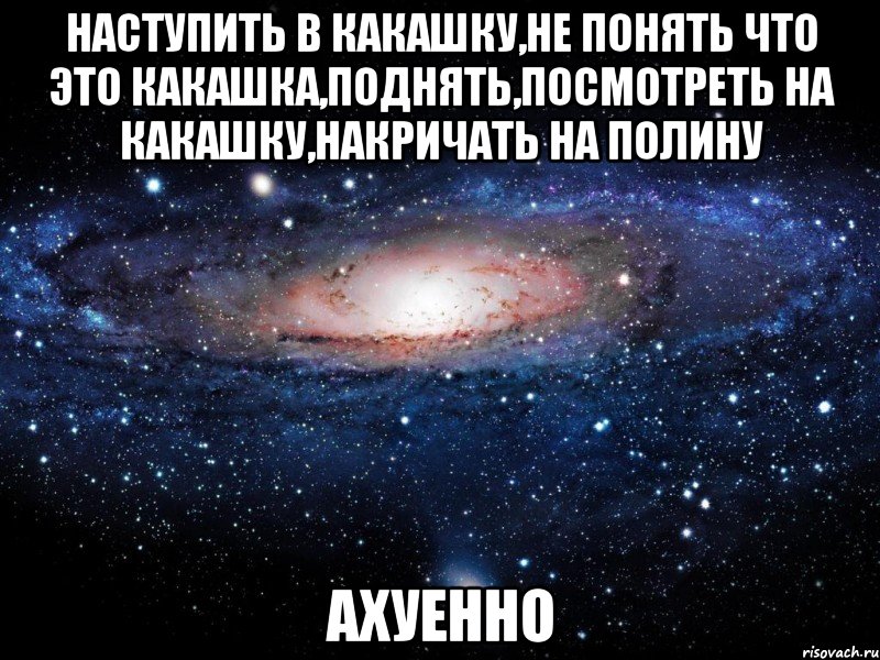 наступить в какашку,не понять что это какашка,поднять,посмотреть на какашку,накричать на полину ахуенно, Мем Вселенная