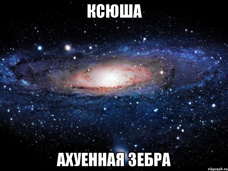 ксюша ахуенная зебра, Мем Вселенная