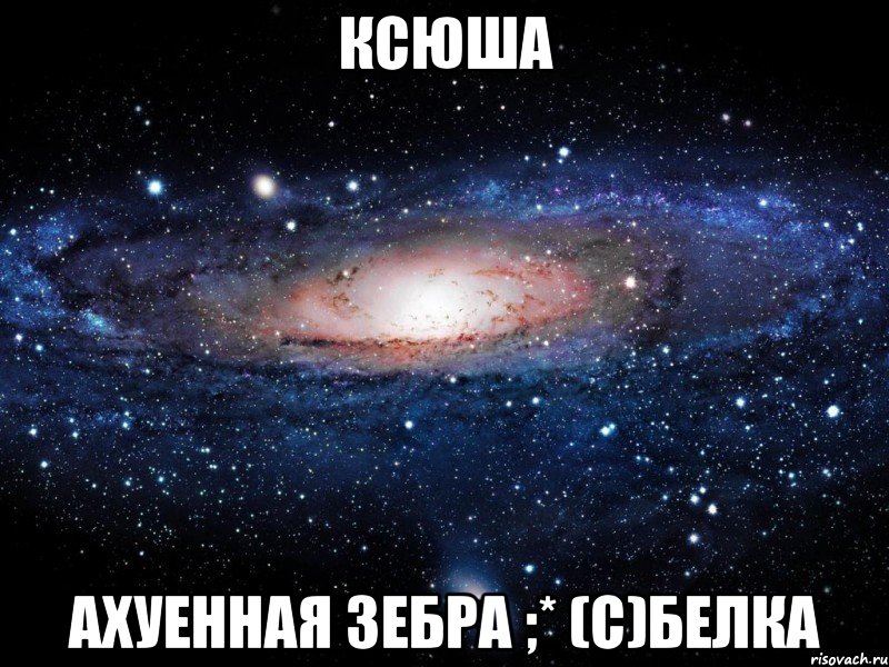 ксюша ахуенная зебра ;* (с)белка, Мем Вселенная