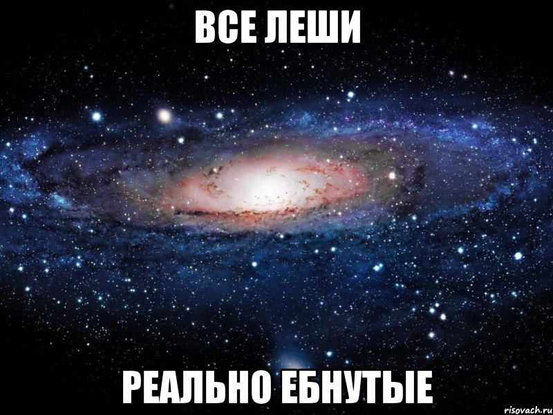 все леши реально ебнутые, Мем Вселенная