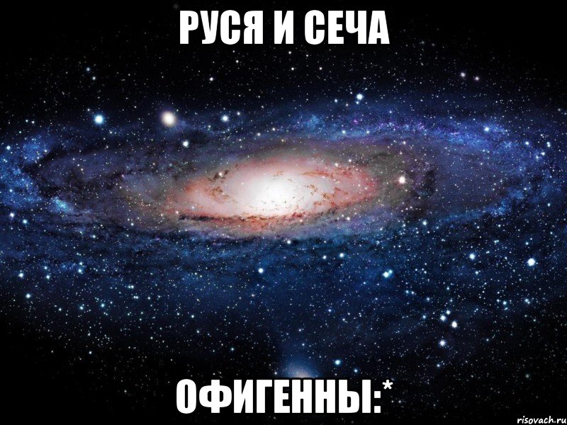 руся и сеча офигенны:*, Мем Вселенная