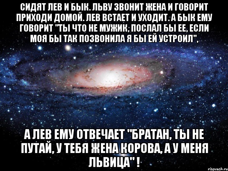 Лев вставай. Льву позвонила жена и спросила. Льву позвонила жена. Сидят Лев и бык льву звонит жена. Моя жена львица.