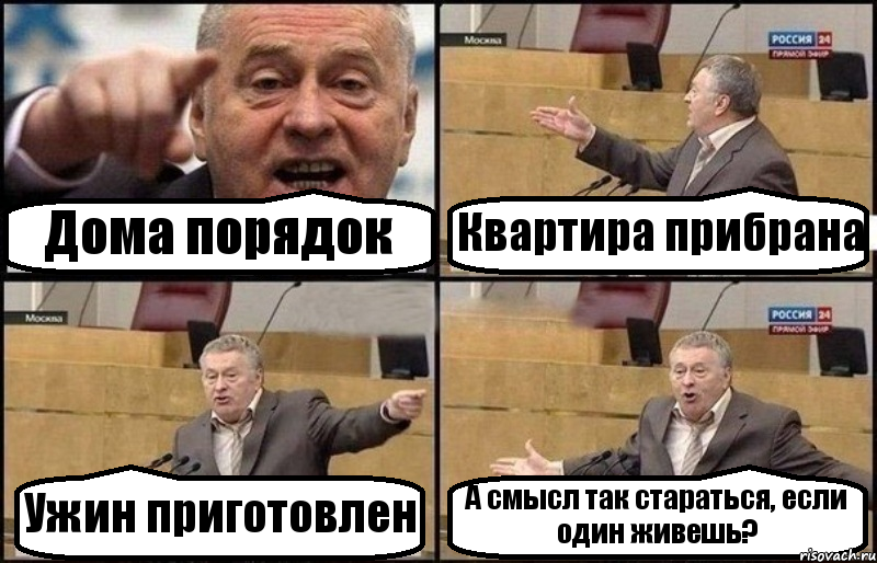 Дома порядок Квартира прибрана Ужин приготовлен А смысл так стараться, если один живешь?, Комикс Жириновский