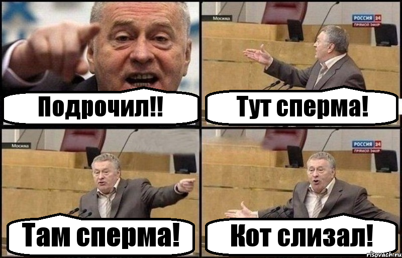 Подрочил!! Тут сперма! Там сперма! Кот слизал!, Комикс Жириновский