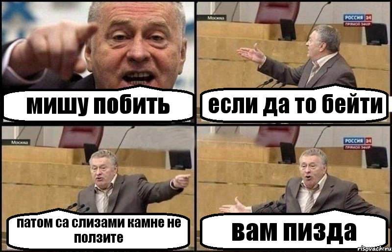 мишу побить если да то бейти патом са слизами камне не ползите вам пизда, Комикс Жириновский