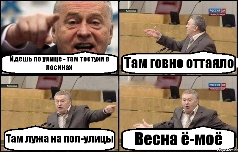 Идешь по улице - там тостухи в лосинах Там говно оттаяло Там лужа на пол-улицы Весна ё-моё, Комикс Жириновский