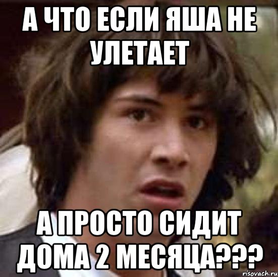 а что если яша не улетает а просто сидит дома 2 месяца???, Мем А что если (Киану Ривз)