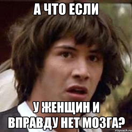 а что если у женщин и вправду нет мозга?, Мем А что если (Киану Ривз)