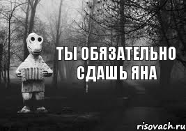 Ты обязательно сдашь Яна