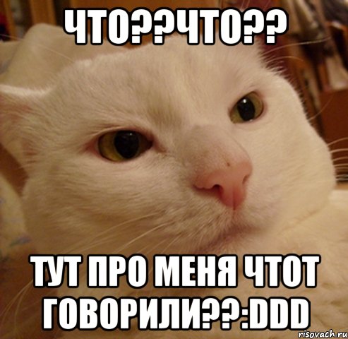 Это про меня 2. Дерзкий котэ Мем. Не для меня. У меня. Это точно про меня.