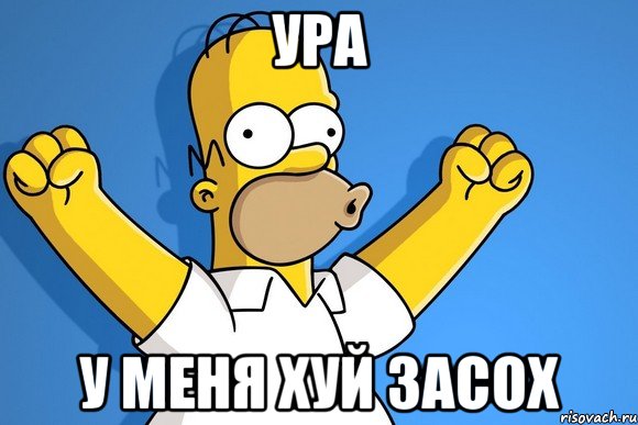 ура у меня хуй засох, Мем    Гомер