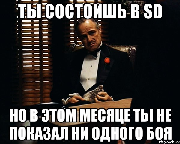 ты состоишь в sd но в этом месяце ты не показал ни одного боя, Мем Дон Вито Корлеоне