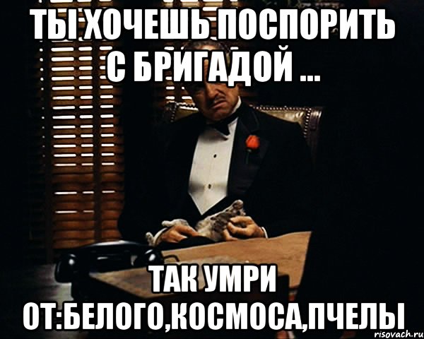 ты хочешь поспорить с бригадой ... так умри от:белого,космоса,пчелы, Мем Дон Вито Корлеоне