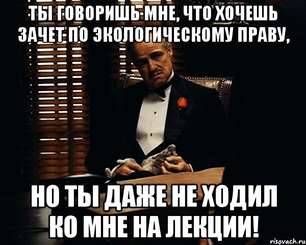 ты говоришь мне, что хочешь зачет по экологическому праву, но ты даже не ходил ко мне на лекции!, Мем Дон Вито Корлеоне