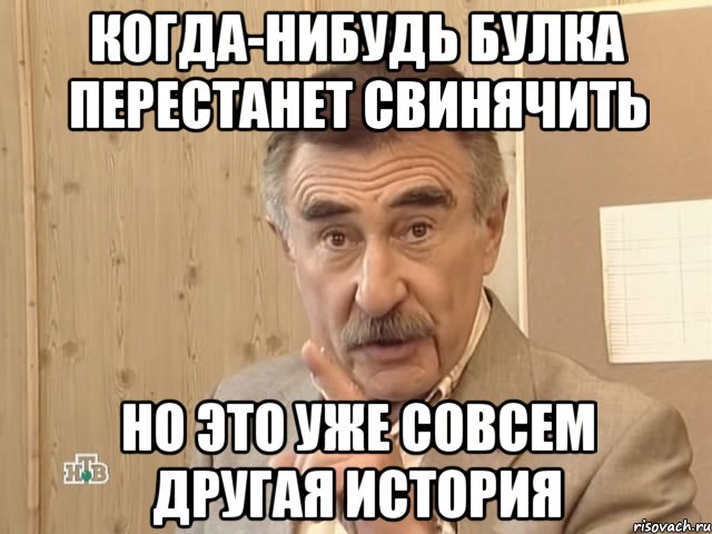 когда-нибудь булка перестанет свинячить но это уже совсем другая история, Мем Каневский (Но это уже совсем другая история)