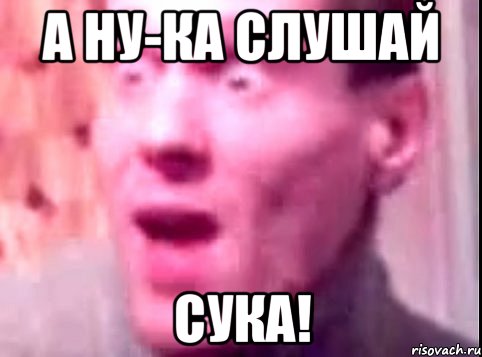 а ну-ка слушай сука!, Мем Дверь мне запили