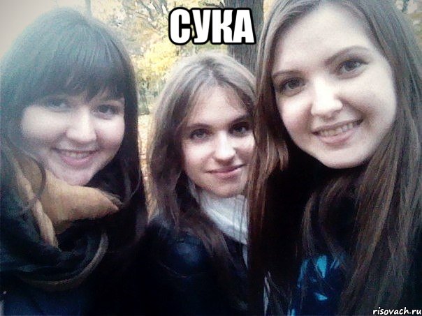 сука 