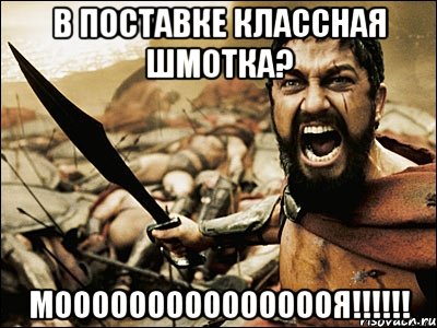 в поставке классная шмотка? моооооооооооооооя!!!, Мем Это Спарта