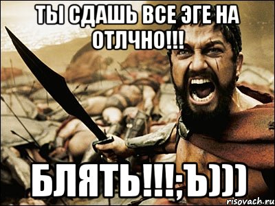 ты сдашь все эге на отлчно!!! блять!!!;ъ))), Мем Это Спарта