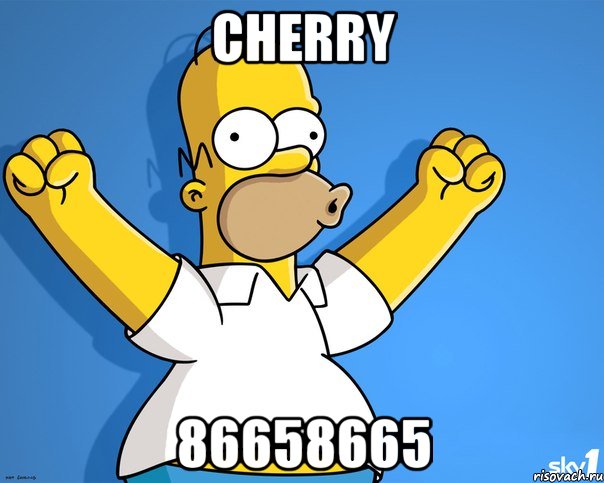 cherry 86658665, Мем    Гомер