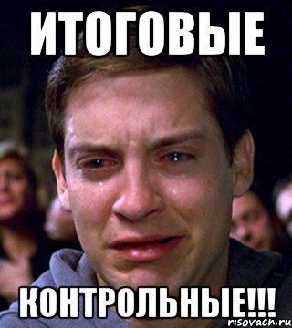 итоговые контрольные!!!