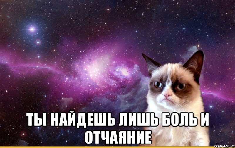 Обрести лишь. Отчаяние Мем. Grumpy Cat на фоне космоса. Боль и отчаяние Мем. Мем разочарование боль.