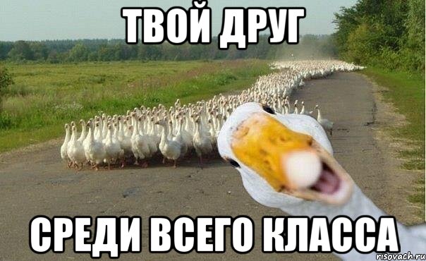 твой друг среди всего класса