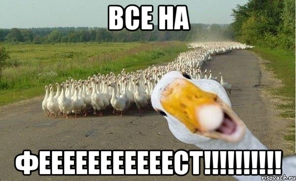 все на фееееееееееест!!!, Мем гуси