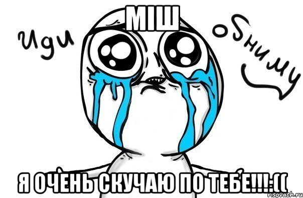 міш я очень скучаю по тебе!!!:((, Мем Иди обниму