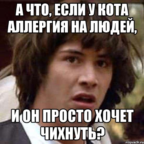 а что, если у кота аллергия на людей, и он просто хочет чихнуть?, Мем А что если (Киану Ривз)