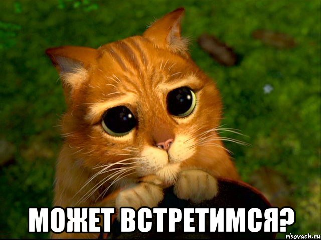  может встретимся?