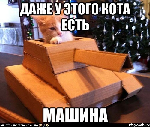 даже у этого кота есть машина