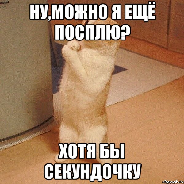 ну,можно я ещё посплю? хотя бы секундочку, Мем  котэ молится