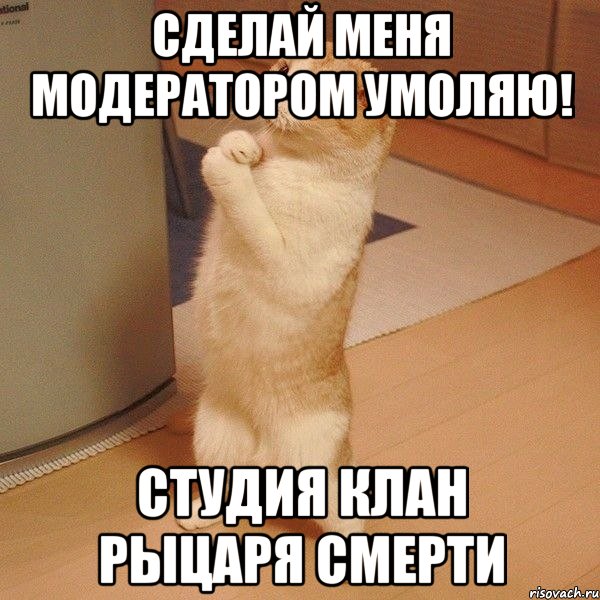 сделай меня модератором умоляю! студия клан рыцаря смерти, Мем  котэ молится