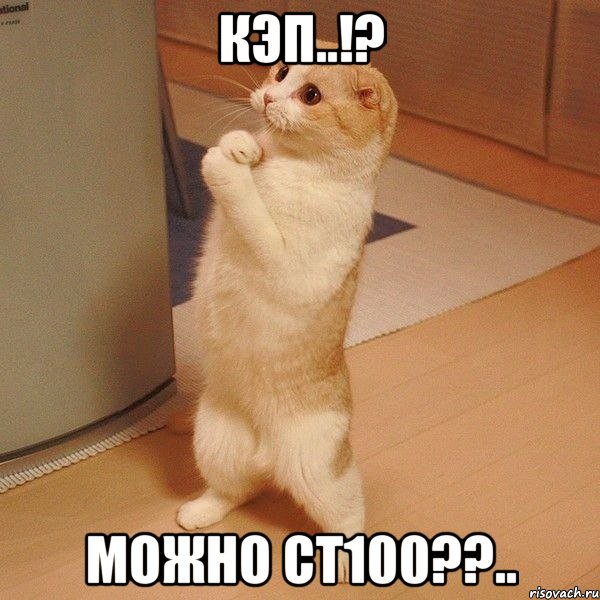 кэп..!? можно ст100??.., Мем  котэ молится