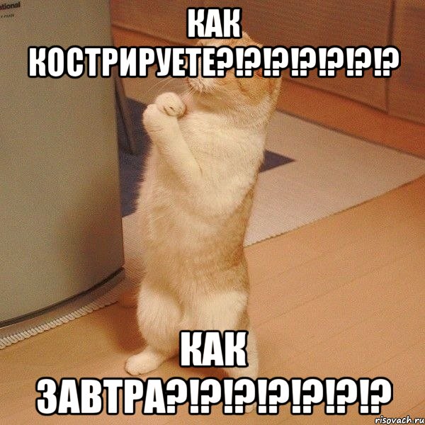 как кострируете?!?!?!?!?!?!? как завтра?!?!?!?!?!?!?, Мем  котэ молится