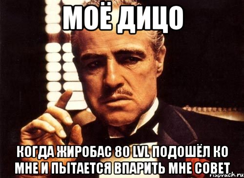 моё дицо когда жиробас 80 lvl подошёл ко мне и пытается впарить мне совет, Мем крестный отец