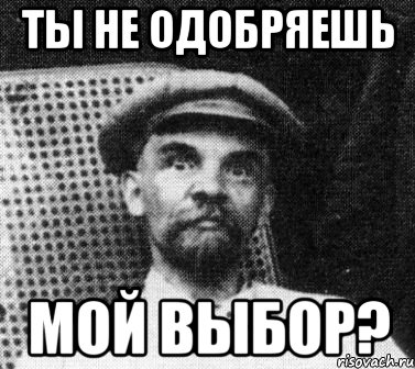 ты не одобряешь мой выбор?, Мем   Ленин удивлен