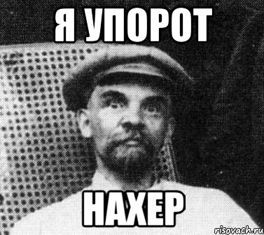 я упорот нахер, Мем   Ленин удивлен