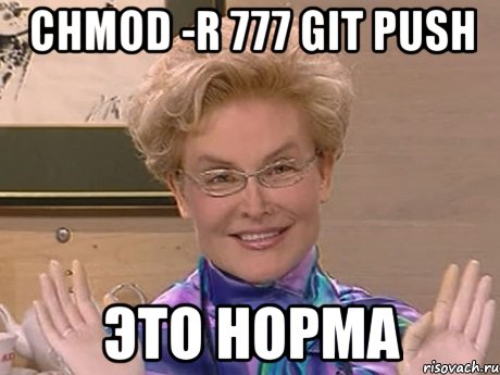 chmod -r 777 git push это норма, Мем Елена Малышева