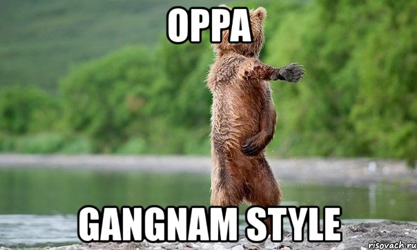 oppa gangnam style, Мем Медвед танцует