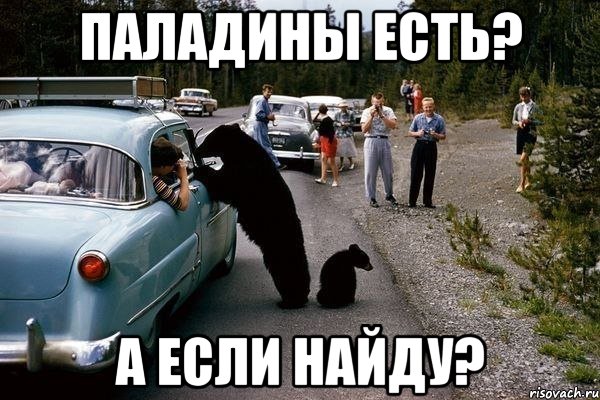 паладины есть? а если найду?