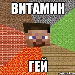 витамин гей, Мем Миникрафтер