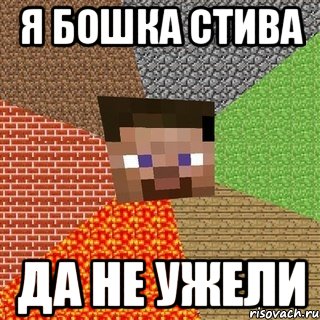 я бошка стива да не ужели, Мем Миникрафтер