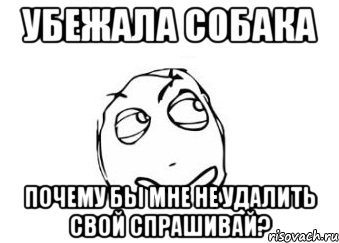 убежала собака почему бы мне не удалить свой спрашивай?, Мем Мне кажется или