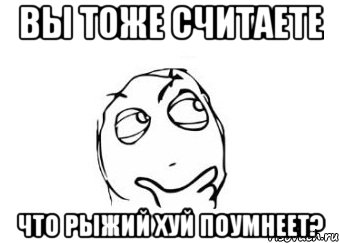 вы тоже считаете что рыжий хуй поумнеет?, Мем Мне кажется или